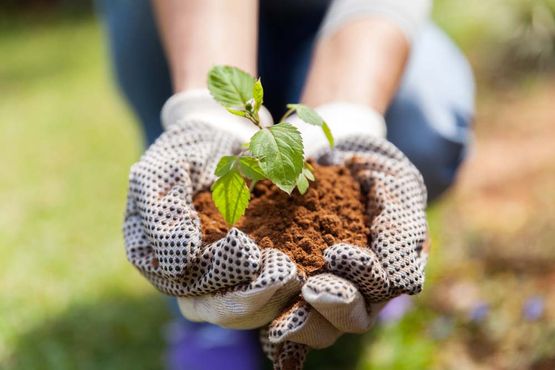 Gartengestaltung